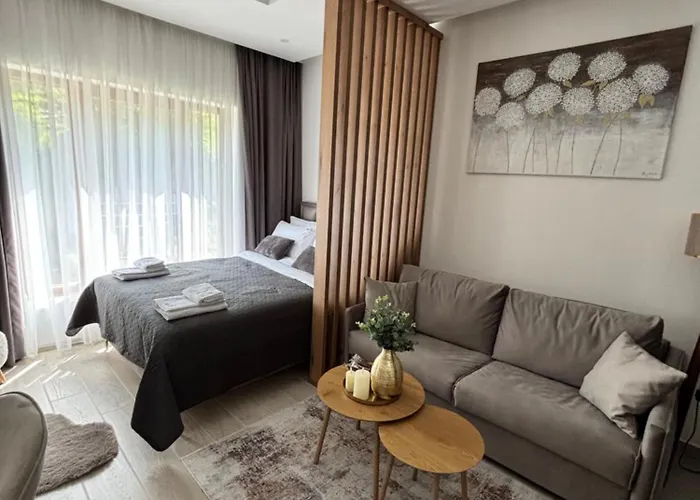 公寓 Milmari & Nlux 72a 科帕奥尼克